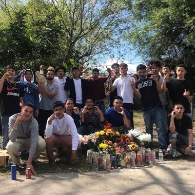 gogo82600658's profile picture. LLC🦍💙