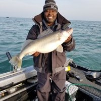 Ali Shakoor (@fishsciencedude) 's Twitter Profile