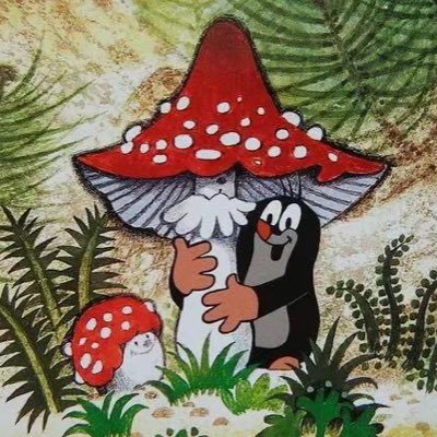 ChenYinan8's profile picture. 山不来就我，我就去就山。