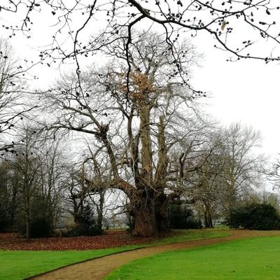 m_essen's profile picture. Leuka rintaan ja kohti uusia pettymyksiä