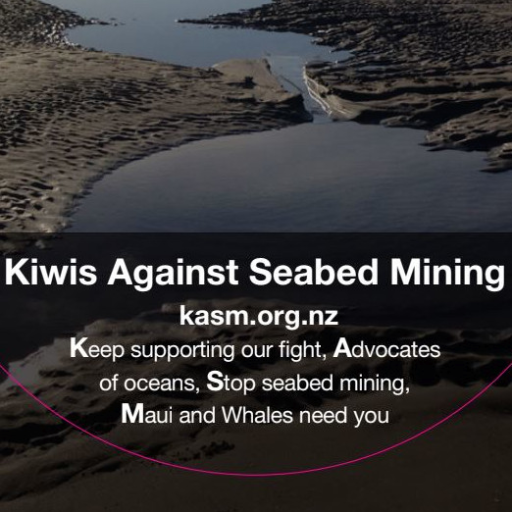 Kiwis Against Seabed Mining:  we love our black sands. Hashtag #kasm #blacksand