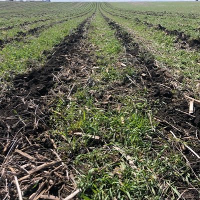 Certified Professional Agronomist & Certified Crop Advisor. Field Agronomist for Pioneer.