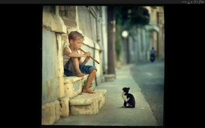 Mositafan's profile picture. 