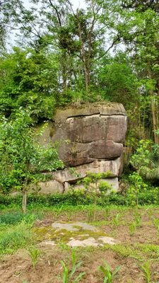 mditches's profile picture. 