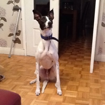 jones_posey's profile picture. 