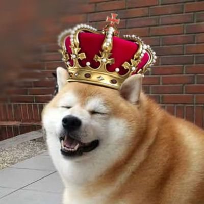 MaziFNBR's profile picture. nutty