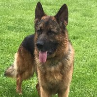 Artie💙Artie💙 (@arube1) 's Twitter Profile