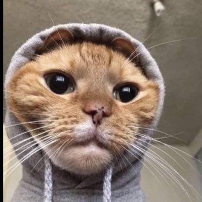 Super_Gyro's profile picture. 