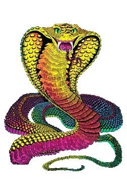 caerebulldogs's profile picture. Io sono un uomo libero, tutti gli uomini sono miei fratelli ed ogni luogo mi è caro, io sono colui che sono. Sono Cagliostro.