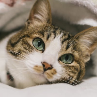 TtV7z0HwBGPndq7's profile picture.