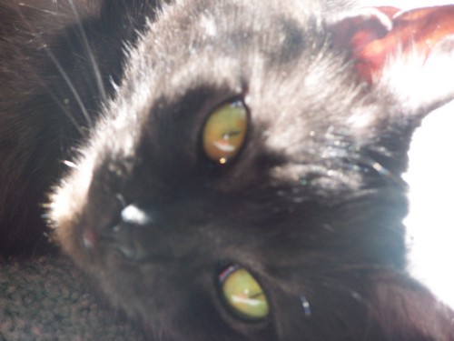 angieLA507's profile picture. 