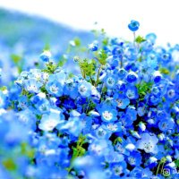 電波 (@kakanmm) 's Twitter Profile Photo 電波 (@kakanmm) 's Twitter Profile Photo
