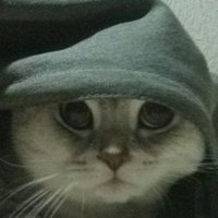 Кысюн (@kblcl0h) 's Twitter Profile