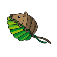Postgraduate Society for Biological Sciences (@psbs_utas) 's Twitter Profile