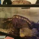 Avery Hebert - @MurfDirt75 - Twitter