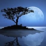 reawakeningz's profile picture. Whatever the mind can conceive and believe, the mind can achieve 🌱
Me: philosopher, musician, freethinker
#Imagination #Happiness #PeaceAndLove ✌️💙