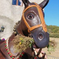 Mulassa de Barcelona (@mulassabcn) 's Twitter Profile