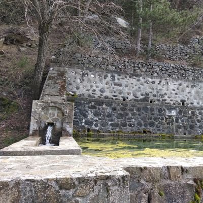 CPotamitis's profile picture. 