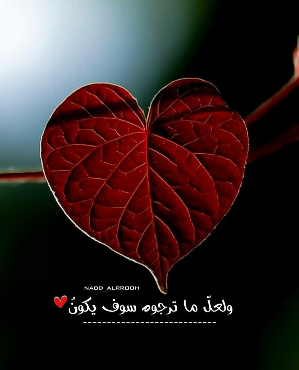 ليتنــي اسجــد بمكــة وبعــدها بلحــظة آنـسى نفســي في السجــود! وتهتــف الملائـكة بـإسمــي مات وهــو ساجــد تلـڪ مااسميهــا ٲمنيــة