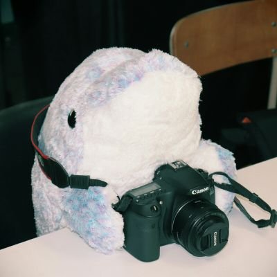OPUpic24's profile picture. 岡山県立大学 写真部の公式Xです! 部室棟24番で活動しています(^-^)/  タグ:#県大写真部     インスタ→https://t.co/kcHTbdrWEc