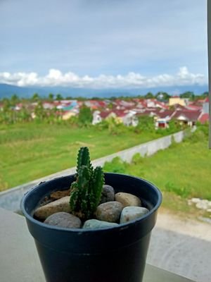 iyoituwir's profile picture. alun nampak lai