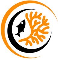 Coral Triangle Center (@coralacenter) 's Twitter Profile Photo Coral Triangle Center (@coralacenter) 's Twitter Profile Photo