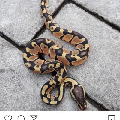 maxtwo5's profile picture. My life