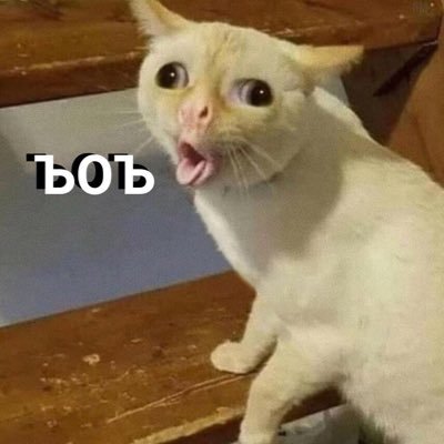 не читай меня