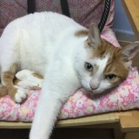 Edmond Woo (@wooedmond) 's Twitter Profile Photo