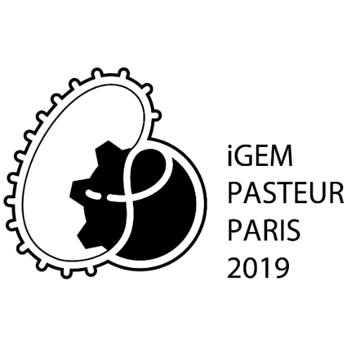 We are the #iGEM team of the @InstitutPasteur ! Follow us and improve Synthetic Biology ! #biology #syntheticBiology #SynBio #paris #student #iGEM_Pasteur