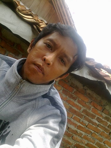 adiwestprog's profile picture. 