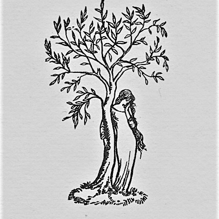 JuniperTreeLiv's profile picture. Liverpool's freshest-faced and fastest-paced storytelling night, with bright, bold young tellers (2016-2022.)