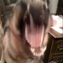 Sandy Rincon - @Dirt_Rink - Twitter