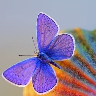 Luquis6768's profile picture. 