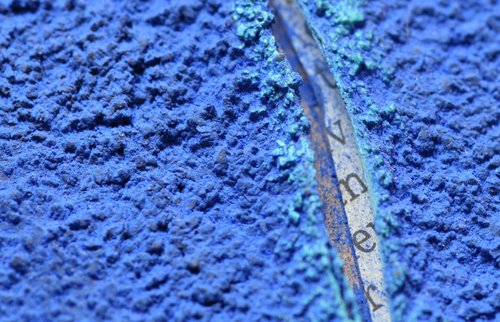 white_musk2's profile picture. 気まぐれでわがままな白い麝香猫です。瞳はブルーです。ｳｿ。