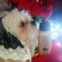 Joyce Ruth - @JoyceRuth11 - Twitter