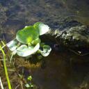 Jack Lien - @sluteinjack - Twitter