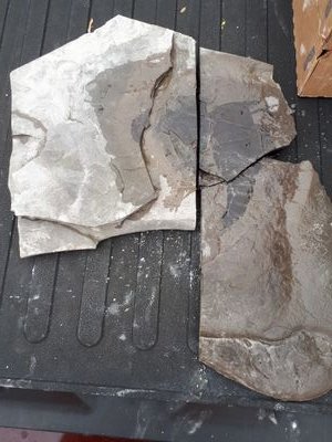 eden_geo's profile picture. Eden Geography Department