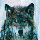 William Nokes - @WilliamNokes33 - Twitter