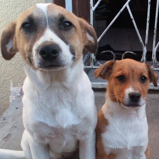 Riedewa61523462's profile picture. 