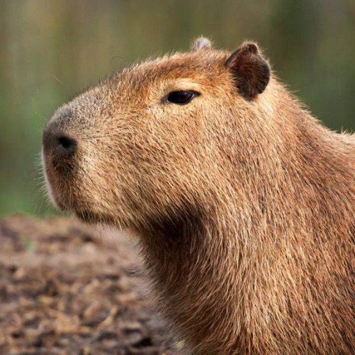 Turiand247's profile picture. 