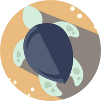 MarineDebrisTracker (@debristracker) 's Twitter Profile