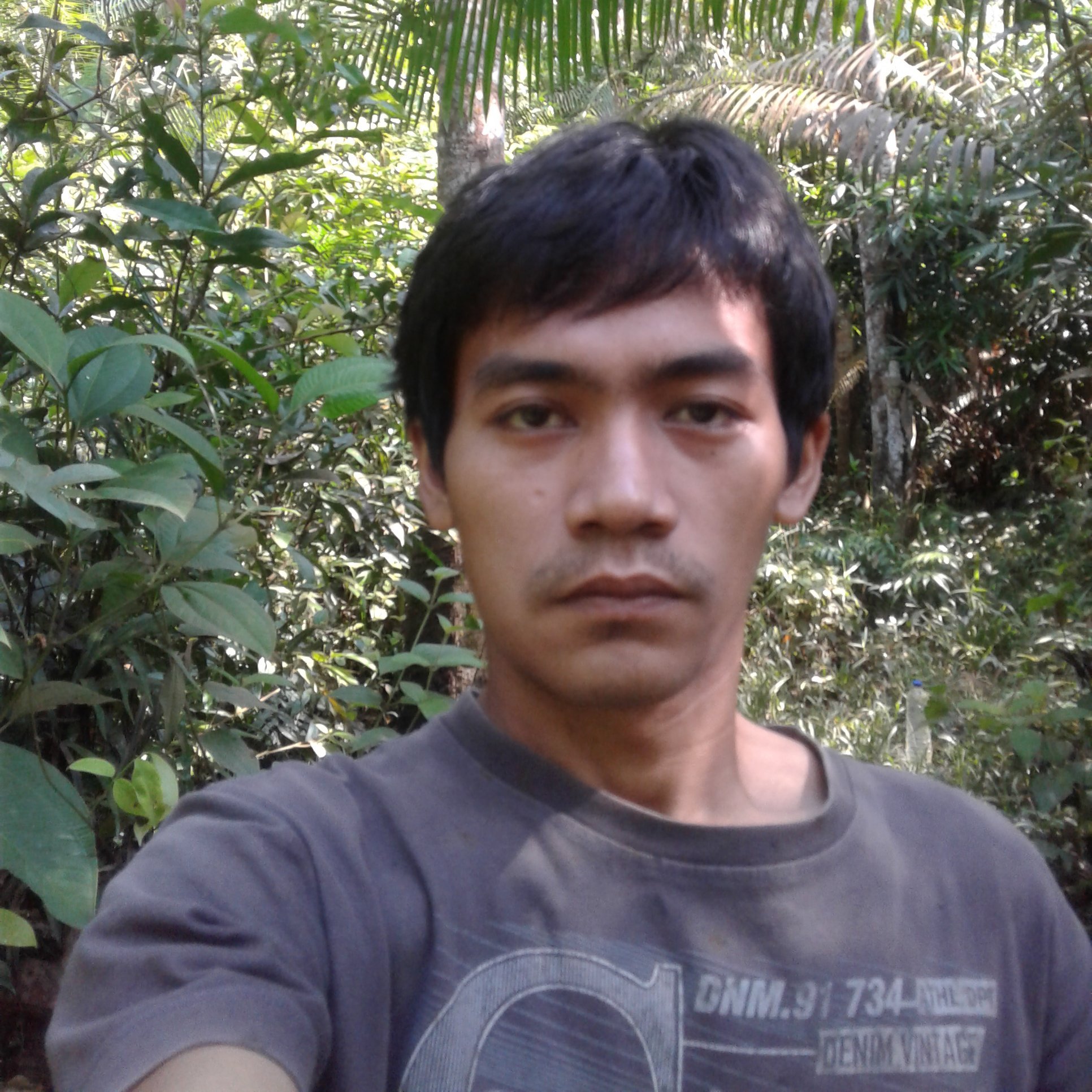 Siswantodephi's profile picture. dus