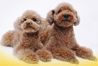 kk_papa's profile picture. 