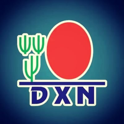 DXN es una empresa de marketing multinivel con sede en Malasia. Fundada en 1993 por Lim Siow Jin, DXN.