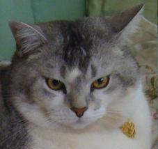 UAV_MOMcom's profile picture. MOMCOM LEGO用カスタムパーツ/世界のレーション/MREレーション/駄グッヅ/ガスマスク/ロシア軍装備を取り扱っております。 ネットショップとは別にメディアもあります。https://t.co/VxVMpBDHYI