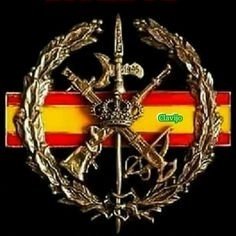 RafaelR62657778's profile picture. Me gusta la buena gente y el pajarito azul🇪🇸💪y legionario, hasta la muerte.