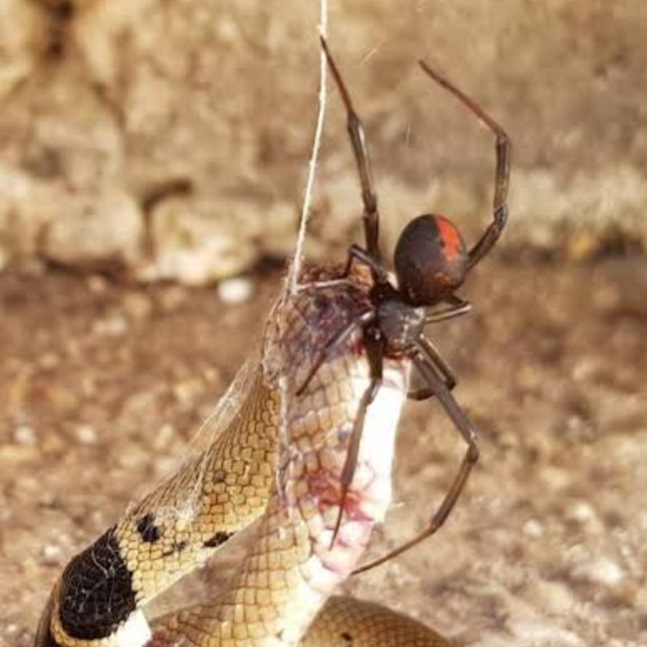 Eros68469011's profile picture. just someone interested in somethings