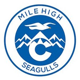 MileHighSeagull Profile Picture