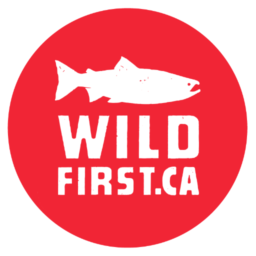 It’s time to put #WildFirst & take the steps that will protect wild Pacific salmon forever.